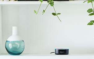 Webinar: Alexa im RADEMACHER Smart Home